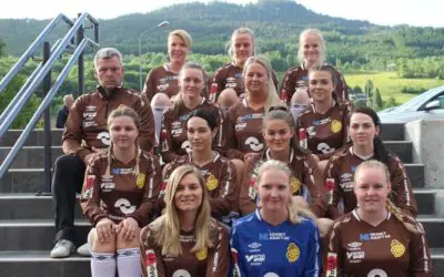 Leve i Nesset